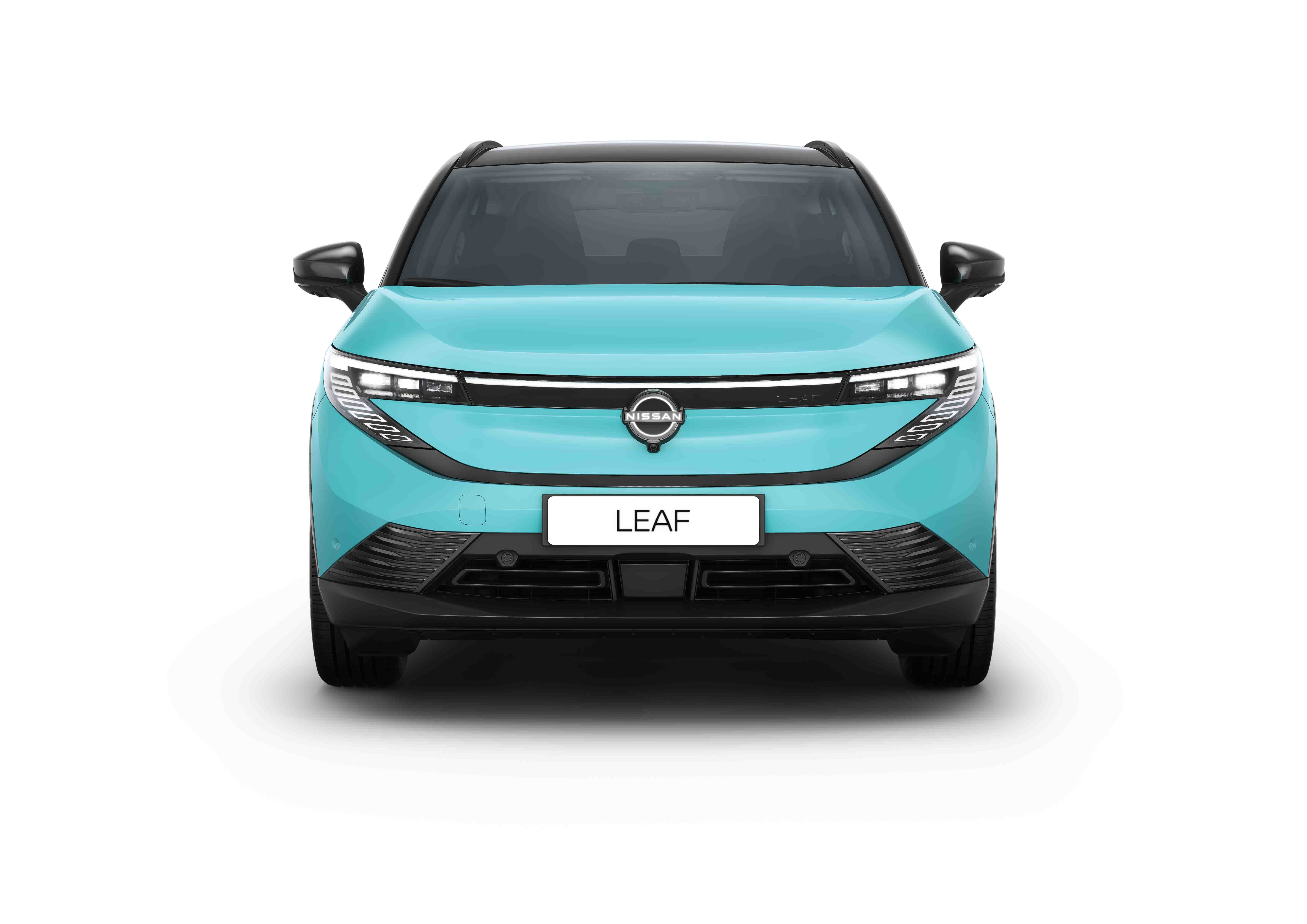 original_NILF_4.jpg - 5 Door 160kw Evolve 75kwh Auto