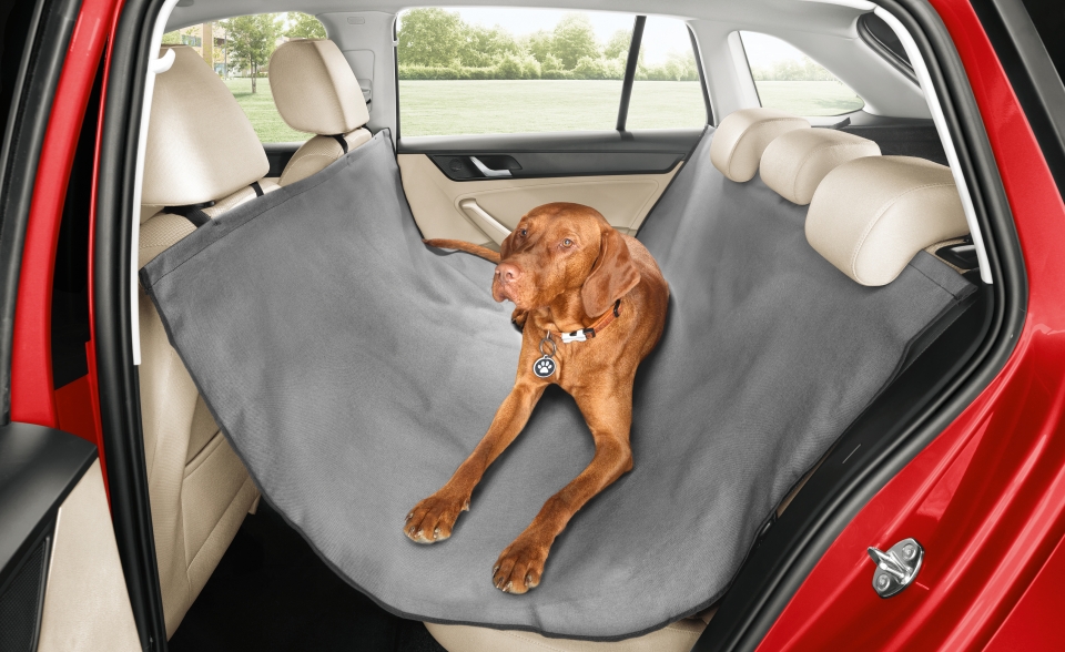 Dog sitting on a protective hammock-style rear seat cover in a Škoda car